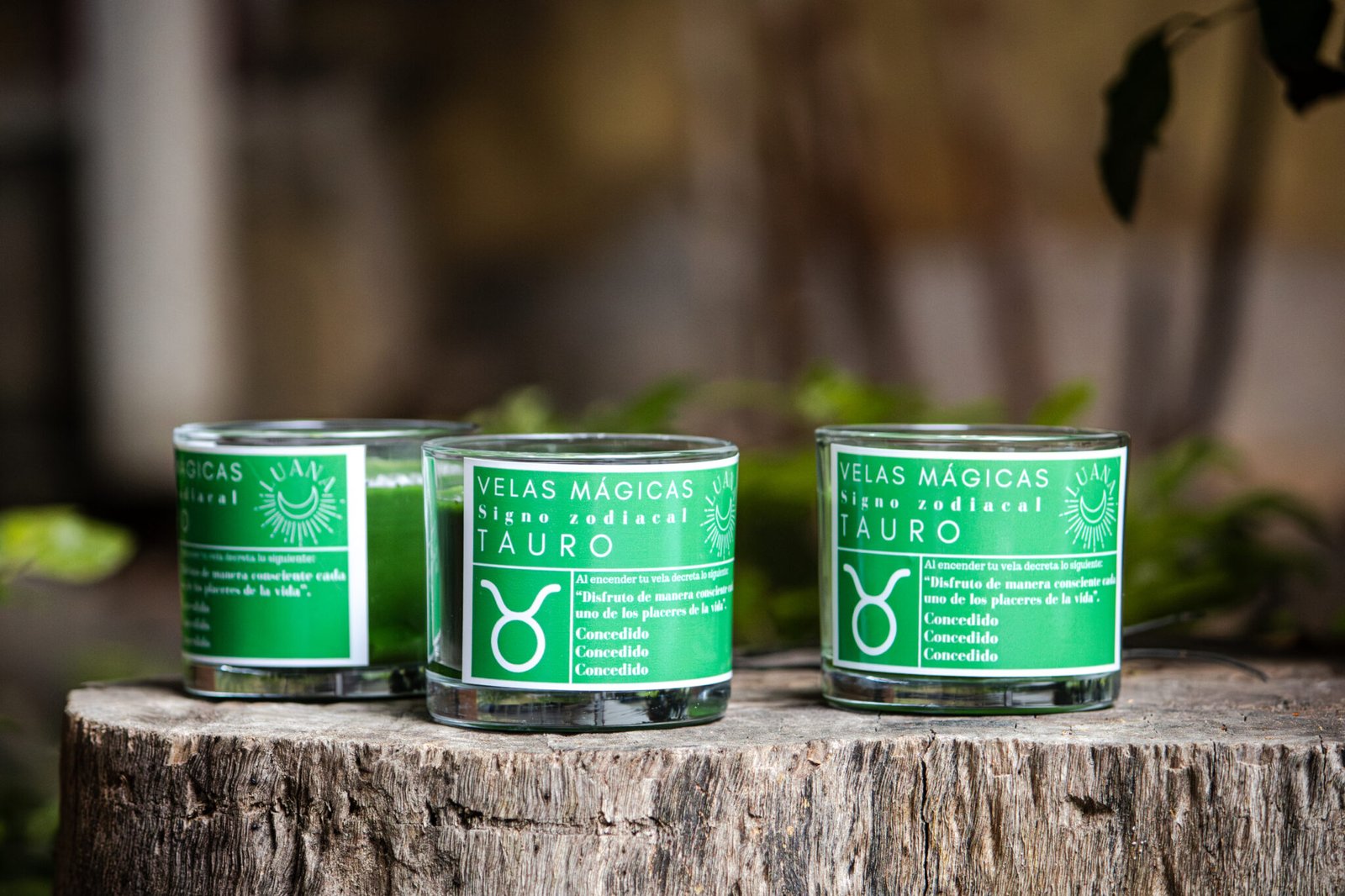 IMG_4558-Mejorado-NR