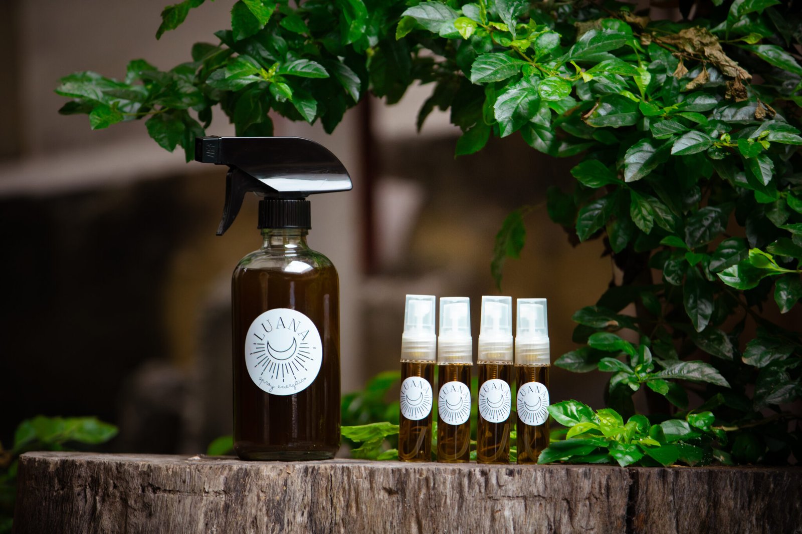 IMG_4714-Mejorado-NR